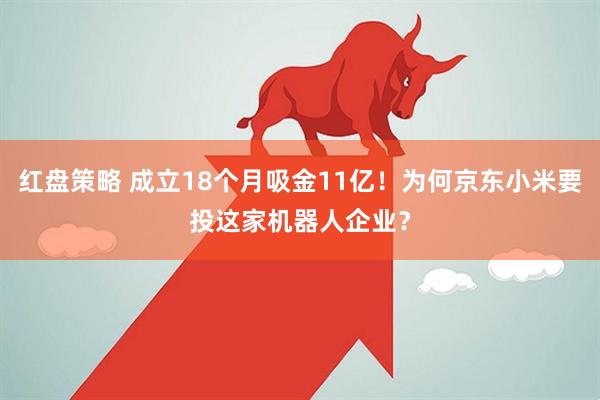 红盘策略 成立18个月吸金11亿！为何京东小米要投这家机器人企业？
